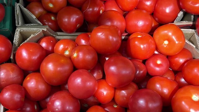 Fresh red tomatoes piled in cardboard boxes at market, showcasing vibrant colors and textures