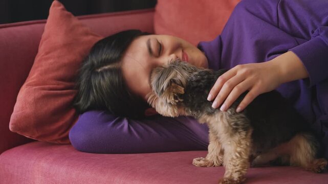 Happy Korean woman lying on couch and petting Yorkshire Terrier, pet companion