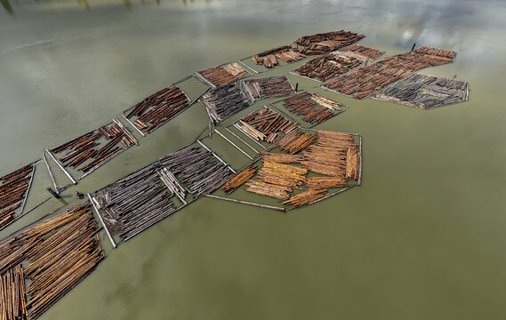 Aerial View Of Log Booms And Timber Rafts On The Fraser River In Coquitlam, Vancouver, British Columbia, Canada
