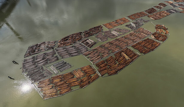 Aerial View Of Log Booms And Timber Rafts On Fraser River In Coquitlam Vancouver British Columbia