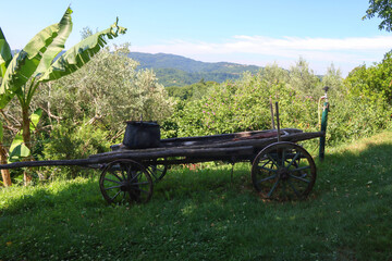 Old traditional wagon on display in Hum, Croatia. Beautiful rural landscape in the background.  © jelena990