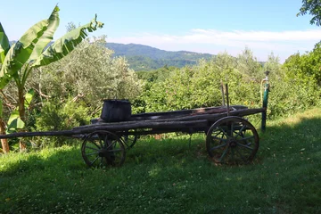 Old traditional wagon on display in Hum, Croatia. Beautiful rural landscape in the background.  © jelena990