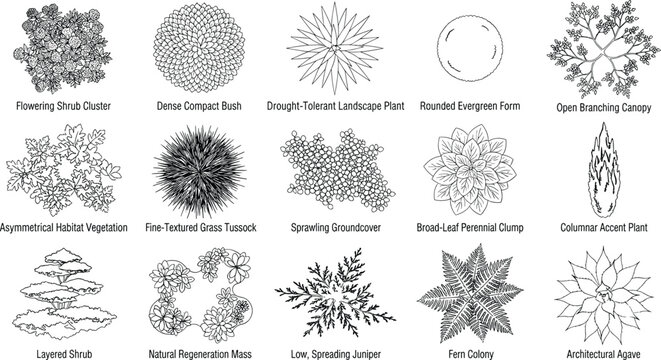 Landscape Plant CAD Symbols Collection with Shrubs Groundcover and Ornamental Vegetation Vector Set