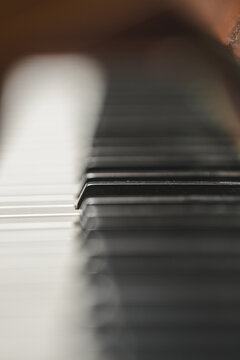 Dark abstract piano keys fading into soft musical shadows.