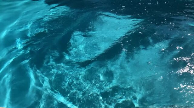 A palm tree shadow falls across the blue water of a pool