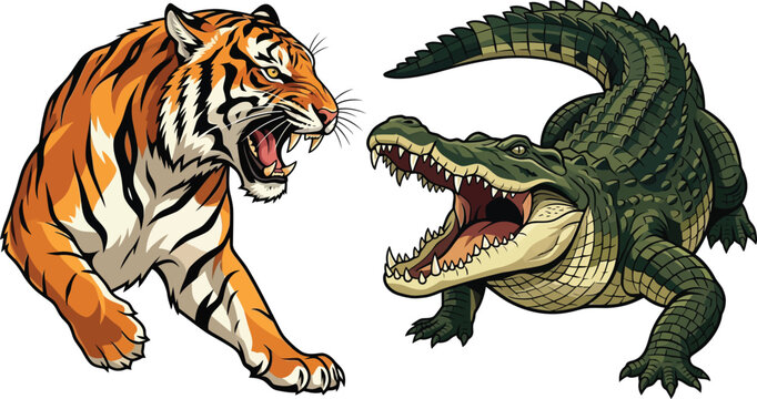 Tiger and crocodile illustration. Wild predator animals in aggressive attack pose.