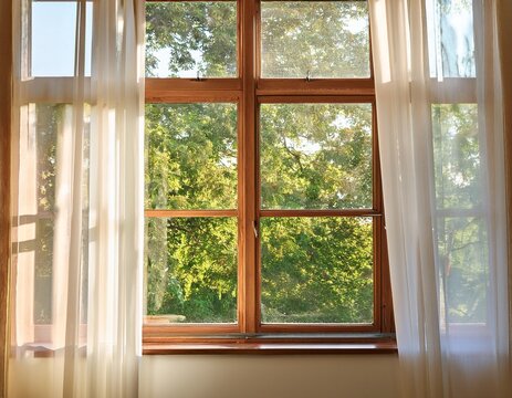 wooden sash window with multiple panes sunlight streaming through white curtain green trees outside peaceful home interior