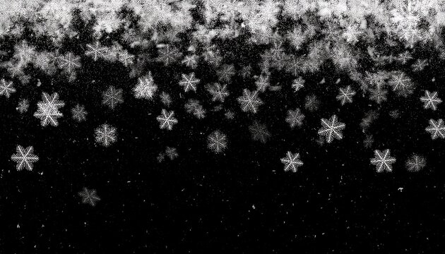 snowflakes falling down on black background heavy snow flakes isolated flying rain overlay effect for composition