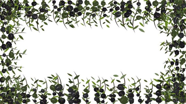 Mediterranean olive branches and black fruit forming a natural decorative border frame