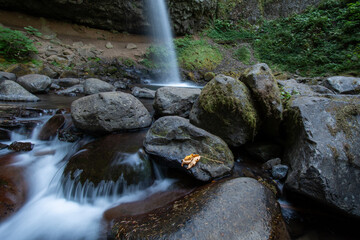 waterfall in the forest © steve