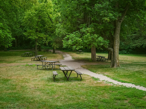 Empty wooden picnic tables scattered across a grassy park clearing surrounded by lush green trees and a hiking trail