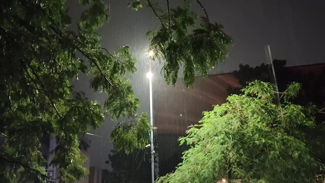 Heavy rain falling through green trees under a glowing streetlight at night. Peaceful monsoon weather with illuminated raindrops, lush foliage, and an urban outdoor atmosphere.