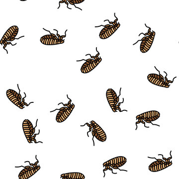flea insect vector seamless pattern flea insect sign illustration