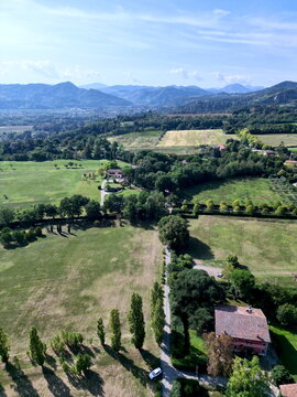 Vertical aerial view of country road and tall trees in Italy for travel background