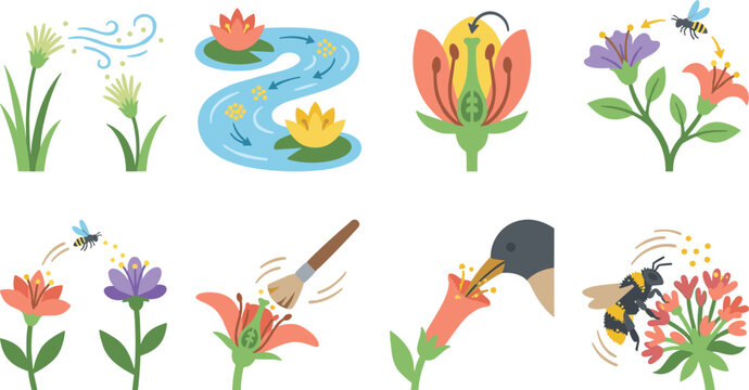 Plant Pollination Methods with Wind Water Bees Birds Insects and Manual Pollen Transfer