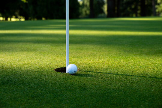 White golf ball tap in close to hole and pin on putting green, early morning sunny summer day on the golf course, relaxing recreational sport

