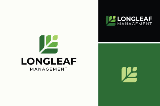 Tropical Pinnate Leaves in Square Shape for Tropic Plant Logo Design