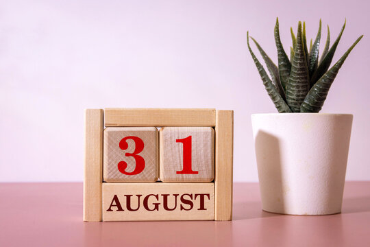 August 31 Wooden Calendar with Succulent Plant on Pink Background Date, Planning and Time Management Concept