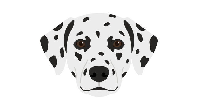 Dalmatian dog head vector illustration isolated on white background