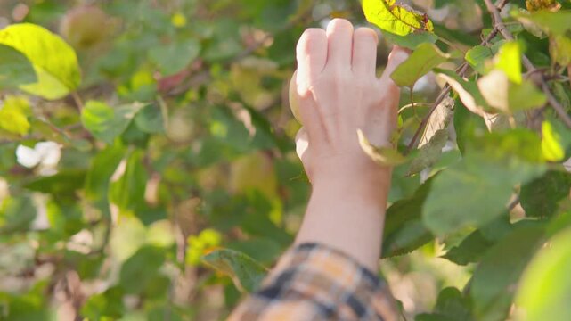 A gentle breeze moves through sunlit greenery, casting dappled shadows and enhancing the sense of calm. The blurred foreground adds depth and draws attention to the fresh leaves and nature scene