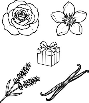 Hand-drawn flowers, gift box, and herbs vector illustration, black and white outline botanical and celebration design elements set
