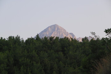 Majestic rocky mountain peak behind a pine forest at sunset © mrdmd