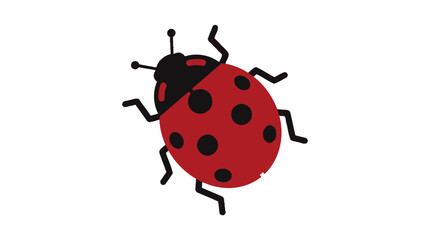 Cute red ladybug with black spots isolated on white background, insect illustration, simple vector art © graphic