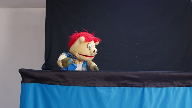 Hand puppet pig performing a show on stage
