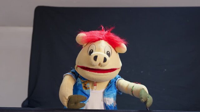 Hand puppet pig performing on a small stage