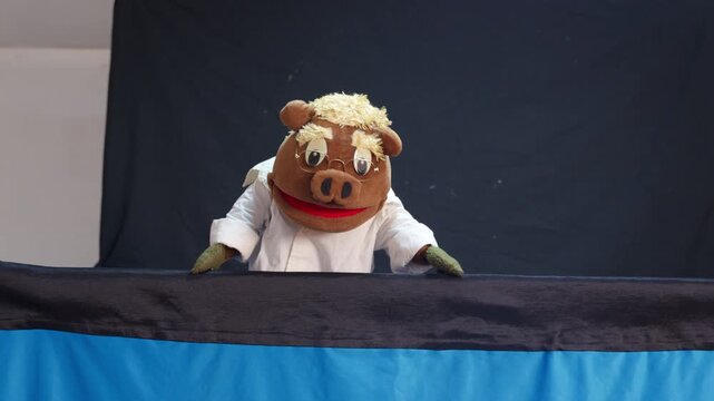 Hand puppet pig character talking on stage