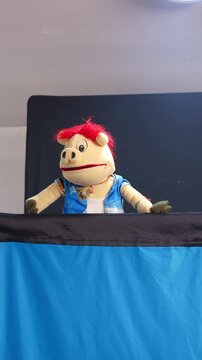 Hand puppet pig character performing on stage