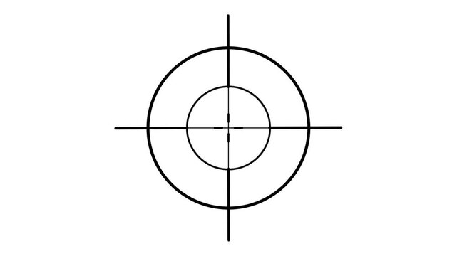 Crosshair Target Reticle Icon Loop Animation on White Background