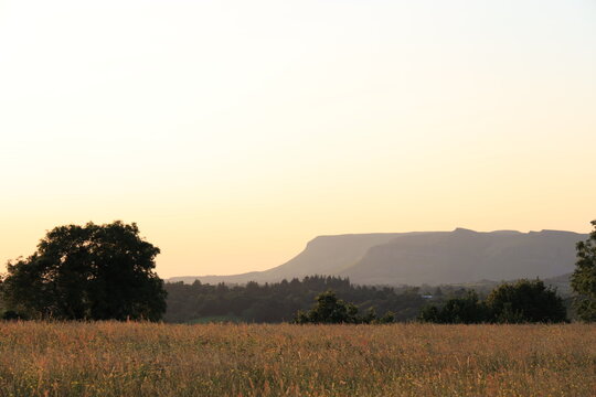Silhouette of Benbulben mountain viewed from tall grass in meadow in summertime. County Sligo, Ireland