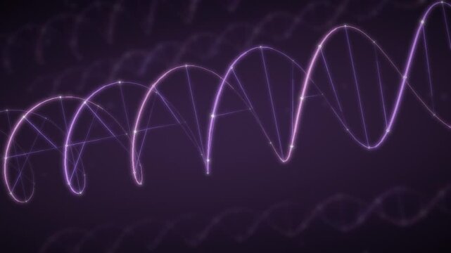 Rotating DNA Double Helix with Glowing Strands and Base Pairs seamless loop in subtle violet tones