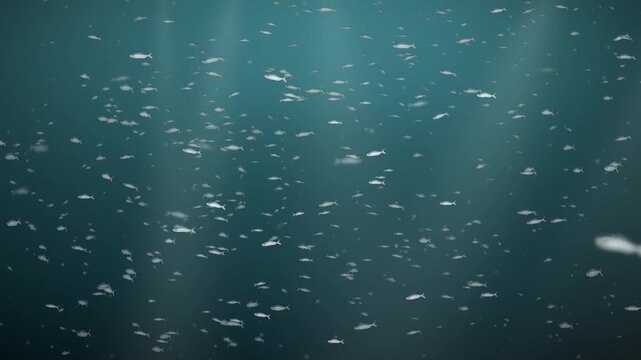 Silver Fish School Swirling Underwater in Light Rays Seamless Loop in subtle turquoise tones