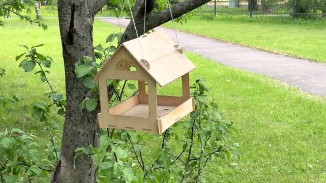 Rustic wooden bird feeder shaped like tiny house hangs from tree branch. Simple plywood construction with open sides and pitched roof. Lush green garden and quiet park path in background. 4K footage.