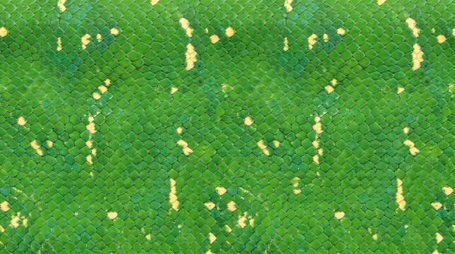 Close-up green tree python skin texture with vivid emerald scales and irregular yellow markings, creating a natural exotic reptile pattern for backgrounds and design.