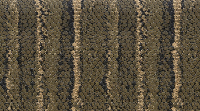 Close-up king cobra skin texture with olive brown scales and dark irregular bands, creating a distinctive natural reptile pattern for backgrounds, fashion and decorative design.