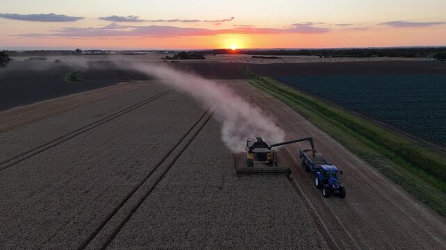 Golden sunset paints sky above vast field. Harvester moves through grain, releasing clouds of dust. Tractor waits nearby, ready to receive the load. Farmers work hard during final harvest season
