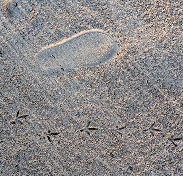 footprint in the sand