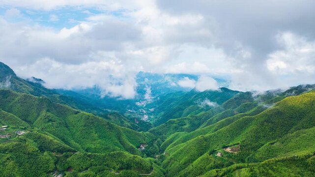 Beautiful scenery of bamboo forest in Ma'an, Xinyi, Maoming, Guangdong