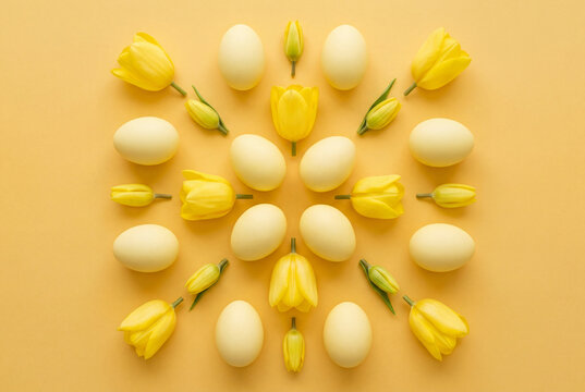 Symmetrical flat lay of pale yellow easter eggs and vibrant yellow tulips