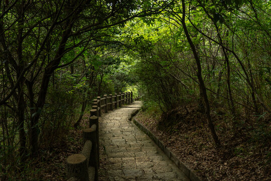 高御位山の成井ルート_02