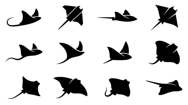 Stingray vector silhouettes of manta rays in various swimming poses