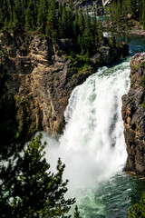 Upper Falls of the Yellowstone River thundering into the canyon © Michael