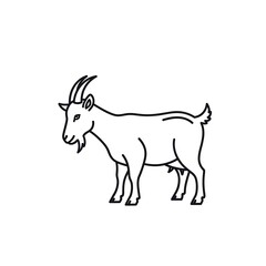 Fototapeta premium Minimalist black line art of a standing goat