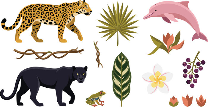 Amazon rainforest wildlife and exotic jungle elements vector set featuring jaguar, black panther, pink river dolphin, tree frog, tropical leaves, and botanical flowers.