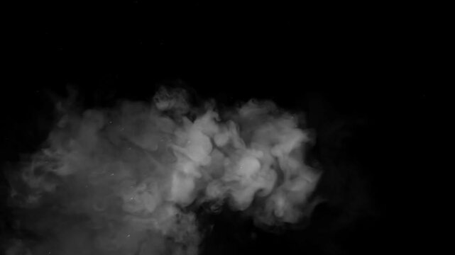 Smoke plumes rise against a solid black backdrop to form an elegant and swirling pattern.