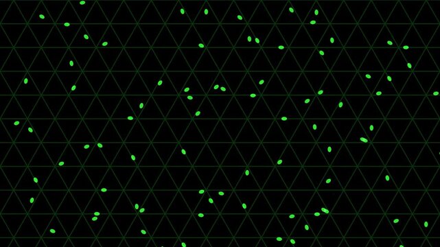 Procedural Motion of Plant Cell Wall Structure