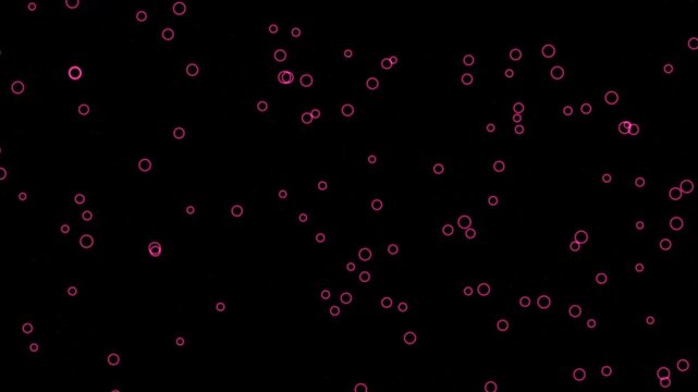 Procedural Animation of Vascular Blood Stream